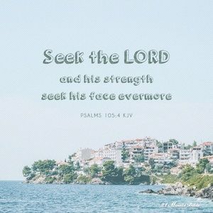 Meet your Posher, Sheila